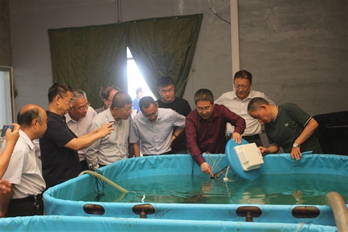 智能化養(yǎng)殖裝備與智慧管理平臺(tái)開發(fā)成果通過驗(yàn)收，助推海水養(yǎng)殖技術(shù)研發(fā)升級(jí)