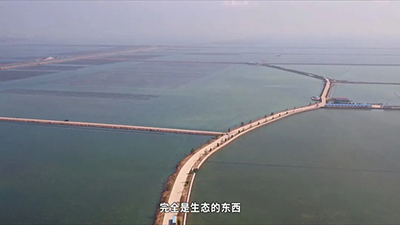 刺參工業(yè)化養(yǎng)殖技術(shù)研發(fā) 突破種業(yè)‘卡脖子’難題，推動海水養(yǎng)殖創(chuàng)新發(fā)展