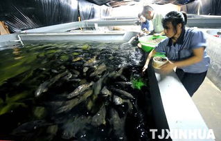 科技創新驅動海洋經濟 濱海新區建成超大型工廠化內循環海水養殖基地