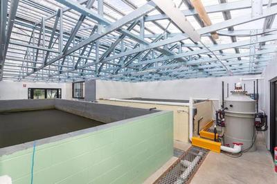 內陸循環海水養蝦新突破 手掌大規格蝦亮相，口感營養比肩北極甜蝦