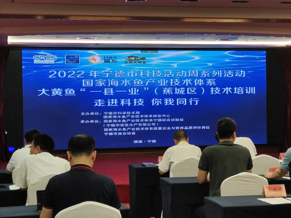 寧德聚力大黃魚“一縣一業” 技術培訓與研發雙輪驅動，引領海水養殖新篇章